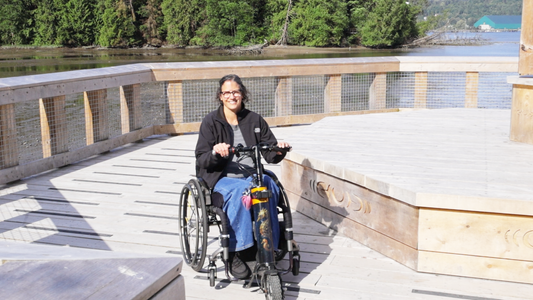 Cheelcare Receives Canadian Patent for Companion Power Assist Platform