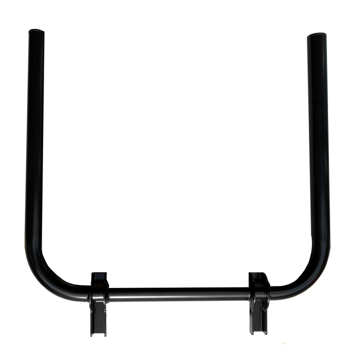Backrest Cane System for WHILL Model C2/Ci2
